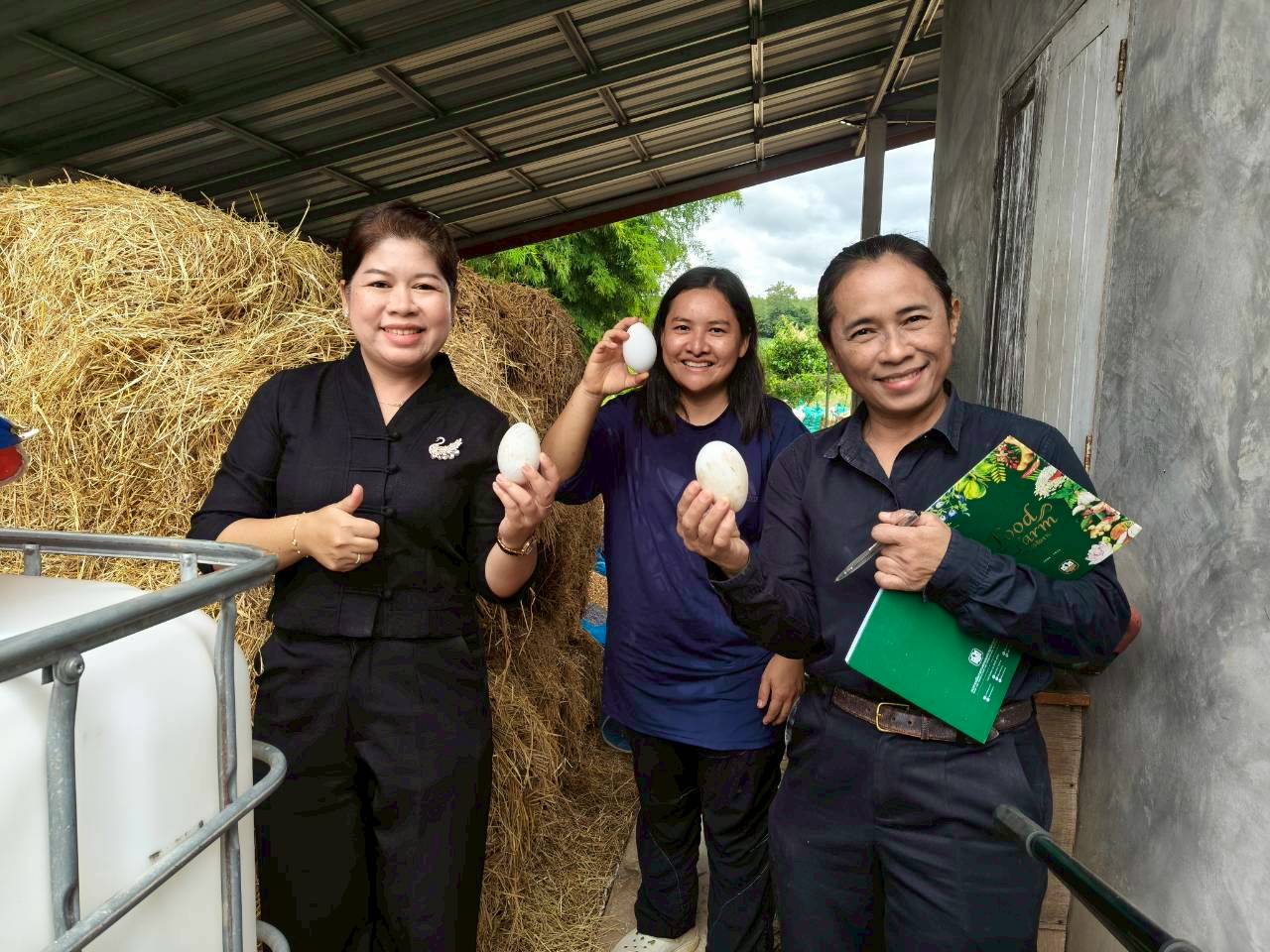 สพอ.วังทอง ขอประชาสัมพันธ์กลุ่มอาชีพสตรีที่ได้รับเงินจากกองทุนพัฒนาบทบาทสตรี ประเภทเงินทุนหมุนเวียน