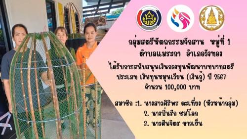 สพอ.วังทอง ขอประชาสัมพันธ์ กลุ่มอาชีพสตรี ที่ได้รับเงินทุนจากกองทุนพัฒนาบทบาทสตรี ประเภทเงินทุนหมุนเวียน